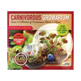 Unique Gardener New - Unique Gardener Double Sphere Glass Terrarium - Carnivorous Growarium