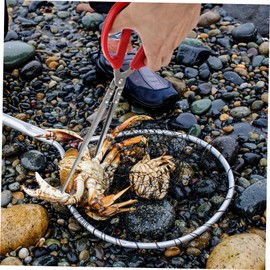 SOESFOUFU 2 Pcs Tools Bend Clip Rubbish Tong Crab Tongs for Live Crabs Loach Clip Metal Crab Grabber Tong Loach Clamp Metal Crab Tong Trash Tongs Straight Head Fish Clip Fish Pliers Eel