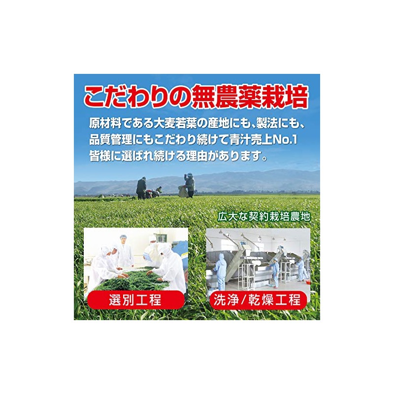 Yamamoto Young Barley Grass (9.3 Oz, 0.58 Lb)