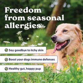 Origin Labs Allergy and Immune Support Supplement, Omega 3 Fish Oil, Bee Pollen, Colostrum, Probiotics, Prebiotics for Gut Health, Skin and Coat Health, Antioxidants, Turkey Flavor, 90 Soft Chews