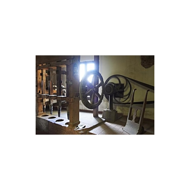 Giuliano Hazan Selection. Giuliano's Classic Carnaroli Rice. 500g (1.1lb)