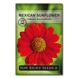 Sow Right Seeds Sow Right Seeds - Mexican Sunflower Seeds for Planting - Non-GMO Heirloom Packet with Instructions for Growing - Bright Orange Blooms, Super Tall Stalks - Enjoys Outdoors or Indoors as Cut Flower (1)