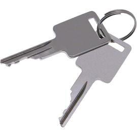MACHSWON 2PCS D250 Ignition Keys 307852A1 6693241 6709527 Fit for Bobcat Skid Steer Terex Broce Genie Grove JLG Komatsu Forklift Volvo 1835B 1835C 1838 1840