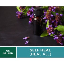 Southern Seeds Self Heal (Heal All) - Heirloom Seeds - Medicinal Herb (Prunella vulgaris)