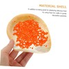 STOBAZA Shell Decorative Serving Plate Natural Shell Design for Home