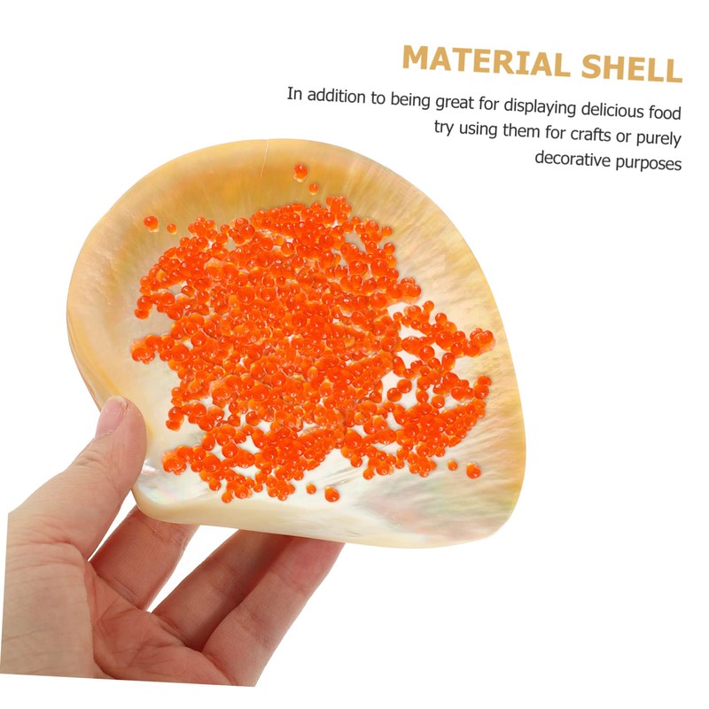 STOBAZA Shell Decorative Serving Plate Natural Shell Design for Home