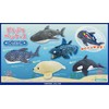 Yamanji Animal Pencil Case Sea Life Seal 11423 Off White