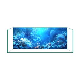 CICK SEED Aquarium Background & Fish Tank Background – Ultra HD Static Cling, No Tape, No Residue, Vibrant Underwater Scenery for Stunning Aquarium Decorations, Blue Ocean Theme 17.7 X 35.4 Inches