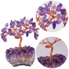 Mookaitedecor Amethyst Crystal Tree with electroplated colourful quartz base and