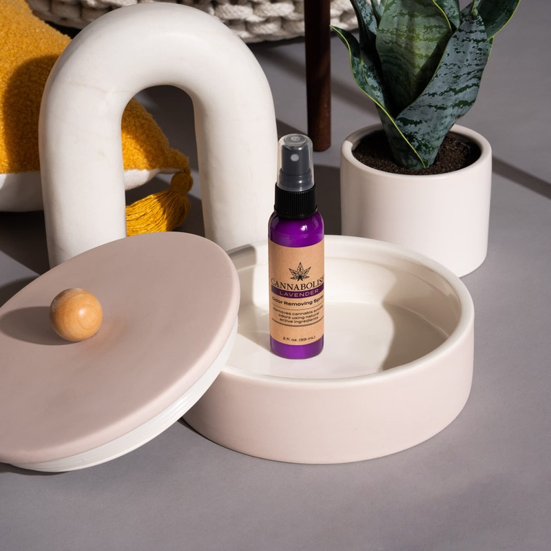 Cannabolish Lavender Odor Removing Spray and Air Freshener, 2 fl.