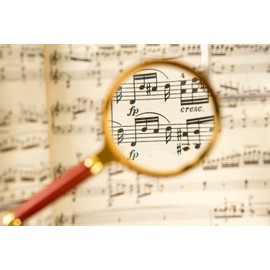 BASUNE 10X Handheld Magnifier, Reading Magnifier Loupe Glasses 10X with Rosewood Handle for Book and Newspaper Reading, Insect and Hobby Observation, Classroom Science (Clear, Plastic Frame)