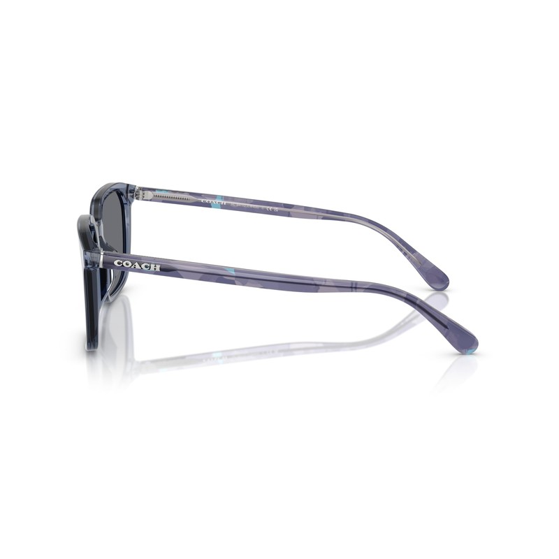 Coach 0HC8411U TRANSPARENT BLUE 55 Sunglasses, Transparent blue, 55