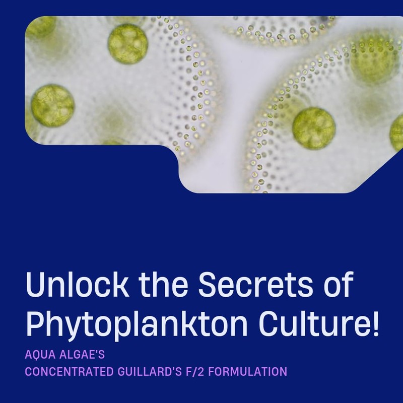 Aqua Algae 16oz Concentrated Guillard's F/2 Formula for Marine Phytoplankton