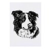 'Border Collie' Temporary Tattoo - Water Resistant, Skin-Safe, Non-Toxic Transfer