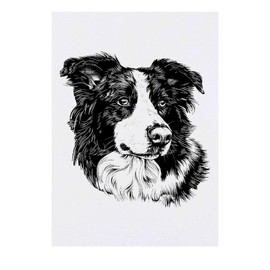 'Border Collie' Temporary Tattoo - Water Resistant, Skin-Safe, Non-Toxic Transfer (TO00070891)