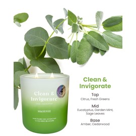 M&SENSE Sage Eucalyptus Aromatherapy Candle for Cleansing & Invigorating, 14.1oz 80-Hour Long-Lasting Natural Soy Wax Summer Scented Candle Fragrance, Spiritual Healing Gift for Positive Energy