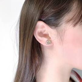 GIGAJEWE Moissanite Stud Earring Round Cut Champane Color Total 6.0CT 18K Gold Plated 925 Steling Silver, Stud Earrings For Men Women