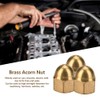 Brass Nuts, Cap Nuts Brass, M3- Brass Acorn Nut Kit