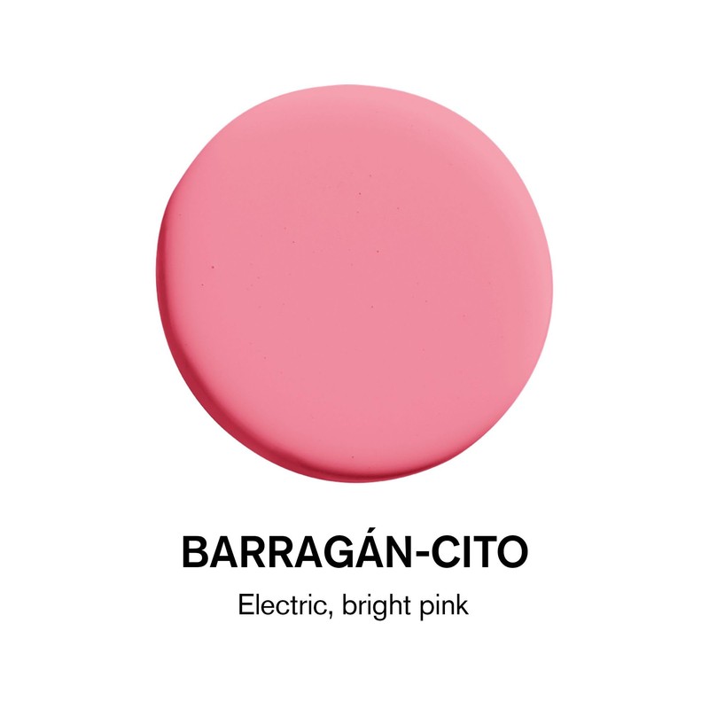 BACKDROP Premium Interior Paint Large Adhesive Paint Swatch BARRAGÁN-CITO -