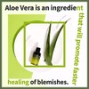 The Skin House Serum Aloe Fresh
