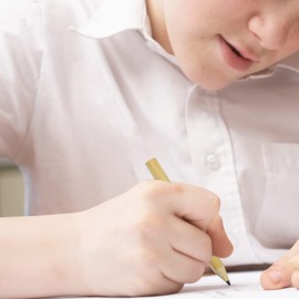 REBECASKYENS 24 PCS 1 Pack Short Round Pencils Mini Pencils Round Wooden Pencils Short Wooden Pencils In Bulk For Preschoolers Kindergarten School Families