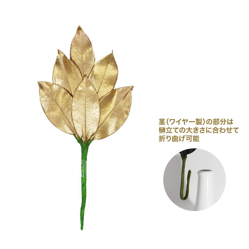 A&K Premium Sakaki, Preserved [S Size / 1 Pair /
