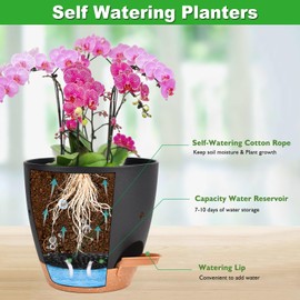Vanslogreen 6 Inch Orchid Pots with Holes, 2 Pack Self Watering Planters for Orchids Plastic Orchid Pot Plant Flower Pots for Orchids Indoor Outdoor (Black with Brown)