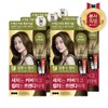Elastine Salon de Color hair dye 100g light brown 1