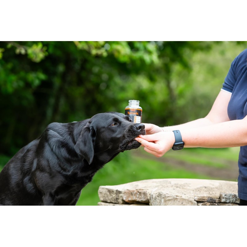 The Golden Paste Company - Natural Premium Turmeric for Dogs