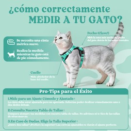 Rabbitgoo Arnés y correa para gato para, arneses de chaleco ajustables suaves a prueba de escape para gatos, transpirable de fácil control con tiras reflectantes y 1 anillo de correa de metal,Verde,XS