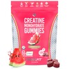 SteelFit Creatine Gummies (Creapure) 120 pack Juicy Watermelon