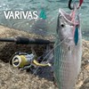 VARIVAS 4 Marking 300m No. 1