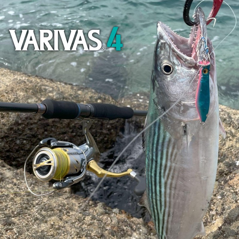 VARIVAS 4 Marking 300m No. 1