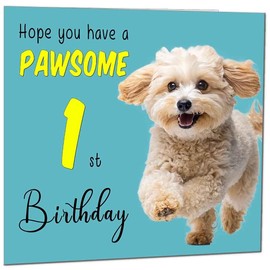 1st Birthday Card for Men Women Dog Pawsome Birthday Card for 1 Year old Girl Kids Baby Daughter One, first Granddaughter Sister Niece cousin