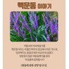 Free Market Cooperation Brand Domestic Macmundong powder, roasted and roasted