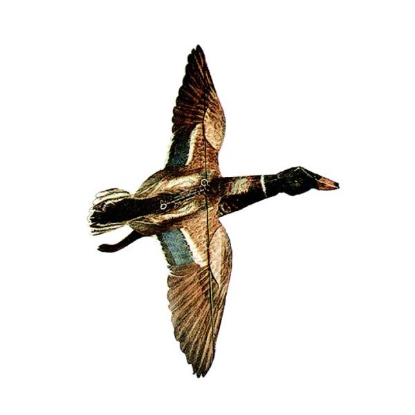 Jackite Mallard Duck Drake Kite, 32" Wingspan