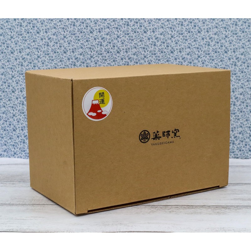 Yakushiken Maneki Neko (Black, Large) Fukushi (Good Luck Seal Included)