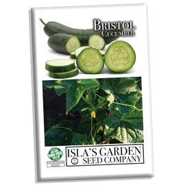 Bristol Cucumber Seeds for Planting, 25+ Seeds Per Packet, (Isla's Garden Seeds), Non GMO & Heirloom Seeds, Scientific Name: Cucumis sativus, Great Home Garden Gift