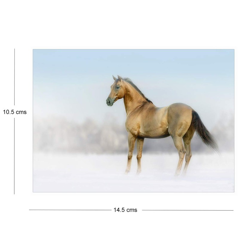 2 for 1 Equestrian Greeting Cards, Bay Horse in Winter