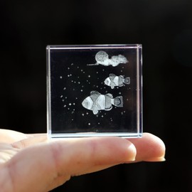 3D Crystal Ocean Cube Glass Sea Clownfish Decor Marine Animals Table Paperweight Fengshui Ornaments Crystal Home Figurines Gifts