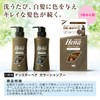 Tenstar Color Shampoo DBR 300 milliliters (10.14 fl oz) (x