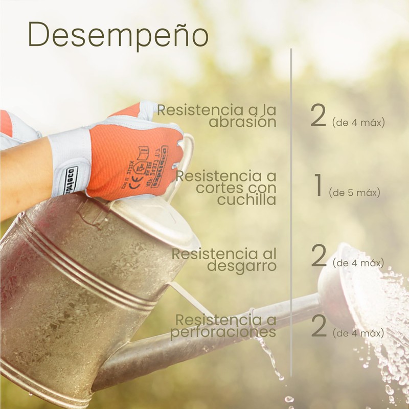 EXBRIECO, 1, 3, 6 or 12 Pairs, Work Gloves, EPI,