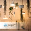 DEWENWILS 6 Pack Vintage LED Edison Bulbs,Dimmable ST64 LED Filament
