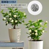 GOODCHI ミニ湿度計＆温度計 4本セット デジタル温度計 爬虫類 粘着/嵌入使用可能 家庭 飼育室 花屋部屋用 電池付き
