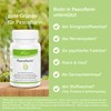 Pascoe Pascoflorin: 9 Probiotic Lactic Acid Bacteria Cultures for the