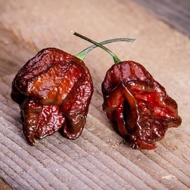 Pepper Joe’s Chocolate Reaper Pepper Seeds ­­­­­– Pack of 10+ Superhot Chocolate Carolina Reaper Seeds – USA Grown ­– Premium Chocolate Hot Pepper Seeds for Planting in your Garden