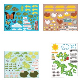 Life Cycle Sticker Scene Assortment ~ 3 each of 4 Life Cycles ~ 11" x 8 1/2" ~ New