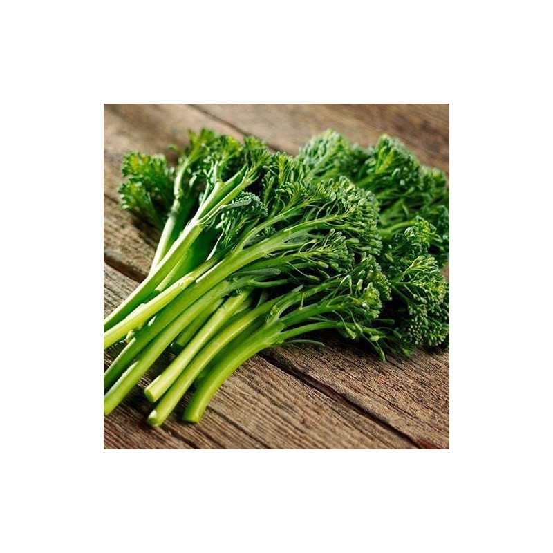 Park Seed Aspabroc Hybrid Broccoli Seeds, 2 Packs of 20