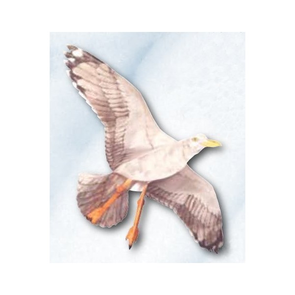 Jackite Sea Gull Kite, 42.5" Wingspan