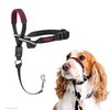 Company of Animals HALTI Optifit Headcollar Size Medium, Dog Head